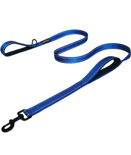 DOgSAYS Dog Leash 5ft Long Traffic Padded Two Handle Heavy Duty Double Handles Lead for Large Dogs or Medium Dogs Training Reflective Leashes Dual Handle (5 FT, Blue)