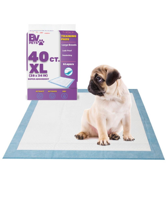 BV Pet Training Pads for Dogs and Puppies, X-Large 28 x 34 Training Pad, 40-Count Dog Pee Pad, Disposable Puppy Pads XL, Doggie Potty Pads, Extra Large Dog Pads, Quick Absorb