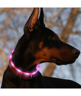 Candofly Rechargeable LED Dog Collar - Glow in The Dark Pet Safety Collar Cuttable Size Light Up Collars LED Dog Lights Keep Your Dogs Visible & Safe for Night Walking (Pink-Silicone)