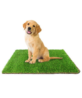 Downtown Pet Supply Replacement Dog Potty Grass, 16 x 20 - Washable Synthetic Grass Pad for Dogs, Suitable as Indoor or Outdoor Grass Pee Turf - Dog Housebreaking Supplies