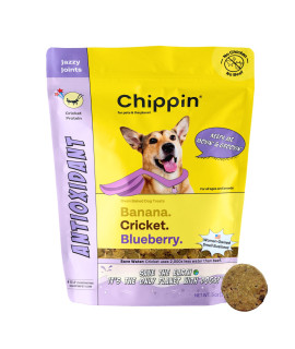 Chippin Blueberry & Cricket Antioxidant Dog Biscuit (5oz, 1-Pack) Natural & Made in USA Chicken-Free, Hypoallergenic, Human-Grade Novel Protein Puppies & Senior Dogs