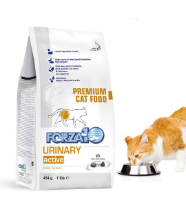 Forza10 Active Dry cat Food Urinary Tract Health, Fish Flavor Urinary Tract cat Food, Adult cats Urinary cat Food, 1 Pound Bag Urinary Tract cat Food Dry