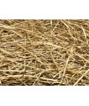 AA Plus Shop 100% Natural Wheat Straw Grass, Animal Bedding and Farm Wheat Straw (4LB)