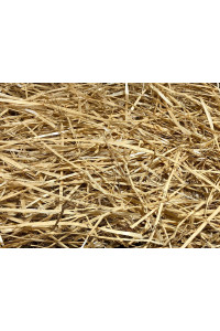 AA Plus Shop 100% Natural Wheat Straw Grass, Animal Bedding and Farm Wheat Straw (4LB)