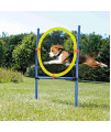 Petprime Dog Jump Ring Agility Kit Hoop Jump Set, Dog Agility Training Course Equipment Professional, Jump Obstacle Course for Dogs Outdoor, Puppy Agility Course Backyard Set, 21.7? in Diameter