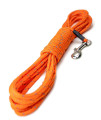 Mighty Paw Check Cord Light Weight 30 Foot Dog Training Leash. Durable, Weather Resistant Climbers? Rope with Reflective Stitching. Perfect for Training, Swimming, Hunting, Camping. (Orange)