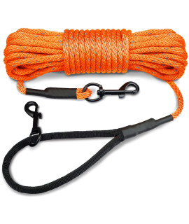 Joytale Long Dog Training Leash, 30 FT Tie Out Rope check cord Dogs Leashes with Padded Handle, Reflective Recall Lead for Puppy and Small Dogs, Orange