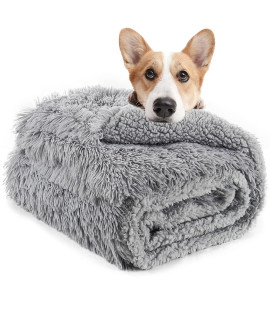 LOCHAS Luxury Fluffy Dog Blanket, Extra Soft and Warm Sherpa Fleece Pet Blankets for Dogs Cats, Plush Furry Faux Fur Puppy Throw Cover, Grey 40''x60''