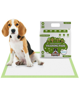 Pogis Dog Training Pads with Adhesive Sticky Tabs (40-count) (18x24in) - Absorbent Puppy Pads, Earth-Friendly Dog Pads, Plant-Based Puppy Pee Pads for Dogs, cats, and Small Animals - Puppy Supplies