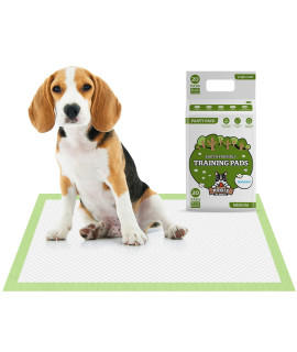 Pogis Dog Training Pads with Adhesive Sticky Tabs (20-count) (18x24in) - Absorbent Puppy Pads, Earth-Friendly Dog Pads, Plant-Based Puppy Pee Pads for Dogs, cats, and Small Animals - Puppy Supplies