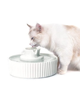 NautyPaws Ceramic Cat Water Fountain, Pet Ceramic Water Fountain Dispenser, 2.1 L Drinking Fountains Bowl for Cats and Dogs with Replacement Filters and Foam(White)