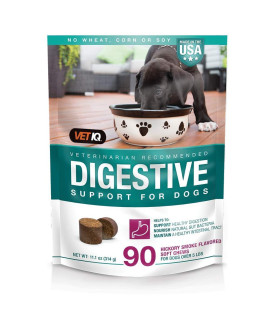 VetIQ Digestive Supplement for Dogs, Intestinal Balance Support Soft Chews, 90 Count