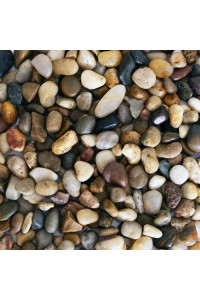 Galashield Pebbles for Plants, River Rocks, Decorative Stones for Vases, Garden Rocks Outdoor Landscaping, Polished Aquarium Gravel (5 lb Bag), 1-2 cm