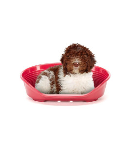 Ferplast Dog Bed, Plastic Dog Bed Large, Perforated Bottom, Anti-Slip, Comfortable Chin-Rest, Burgundy, 82 x 59,5 x h25 cm.