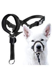 goodBoy Dog Head Halter with Safety Strap - Stops Heavy Pulling On The Leash - Padded Headcollar for Small Medium and Large Dog Sizes - Head collar Training guide Included (Size 2, Black)