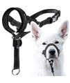 GoodBoy Dog Head Halter with Safety Strap - Stops Heavy Pulling On The Leash - Padded Headcollar for Small Medium and Large Dog Sizes - Head Collar Training Guide Included (Size 3, Black)