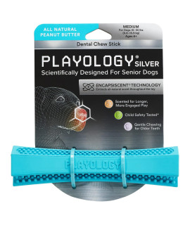 Playology Silver Dental Chew Stick Dog Toy, Medium - Designed for All Breeds of Senior Dogs (15-35lbs) - Engaging Non-Toxic All-Natural Peanut Butter Scented Toy -Moderate Chewing for Older Teeth
