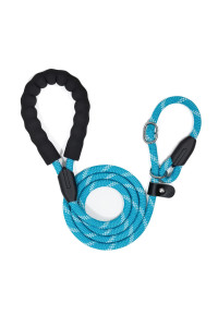 WePet Dog Training Slip Leash, Dog Slip Lead, Puppy Obedience Recall Training Lead, 5 ft Long, Heavy Duty Rope with Reflective Design, Comfortable Handle, for Medium Large Dogs, Blue/White