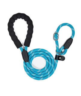 WePet Dog Training Slip Leash, Dog Slip Lead, Puppy Obedience Recall Training Lead, 5 ft Long, Heavy Duty Rope with Reflective Design, Comfortable Handle, for Medium Large Dogs, Blue/White