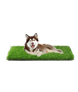 Artificial Grass, Professional Dog Grass Mat, Grass Pee Pad for Pet, Dog Potty Training Rug with Drainage Holes - Easy to Clean, Fake Turf for Indoor & Outdoor Patio Decor(39.4'' x19.7'')
