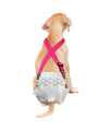 Paw Inspired The Original Dog Diaper Suspenders Belly Bands Canine Harness Durable Dress & Diaper Keeper Keep Diaper on Your Dog, for Small Medium and Large Dogs (S/M, Pink)