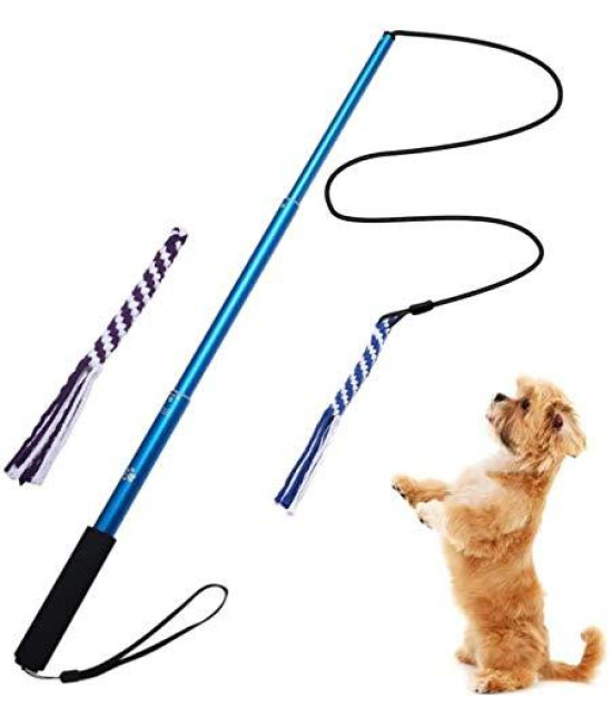 AMYESE Interactive Dog Toys - Extendable Flirt Pole with 2pcs Braided Rope Tugs for Dog Outdoor Entertainment, Train and Exercise, Blue, Size L