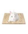 Litewoo Rabbit Foot Mat Grinding Pawl Board Natural Wooden Rabbit Toys for Bunny Chinchilla Guinea Pig Rabbit Antiskid Edible Natural Wood Pad