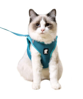 Heywean Cat Harness and Leash - Ultra Light Escape Proof Kitten Collar Cat Walking Jacket with Running Cushioning Soft and Comfortable Suitable for Puppies Rabbits (L, Turquoise)