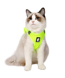 HEYWEAN Cat Harness and Leash - Ultra Light Escape Proof Kitten Collar Cat Walking Jacket with Running Cushioning Soft and Comfortable Suitable for Puppies Rabbits