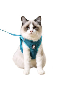 Heywean Cat Harness and Leash - Ultra Light Escape Proof Kitten Collar Cat Walking Jacket with Running Cushioning Soft and Comfortable Suitable for Puppies Rabbits (M, Turquoise)