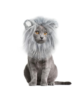 Onmygogo Lion Mane Wig for Cats and Dogs, Funny Pet Cat Costumes for Halloween Christmas, Furry Pet Clothing Accessories (Size S, Light Grey with White)