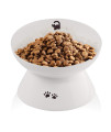 immaculife Ceramic Raised Cat Food Bowl, Slanted Cat Dish, Tilt Angle Protect Cat's Spine, Stress Free, Backflow Prevention