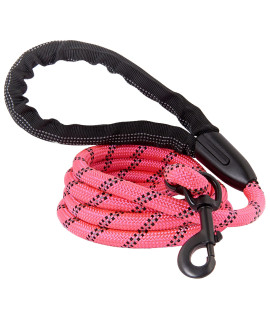Dog Leash, Reflective Rope, Chew Resistant Paracord for Medium and Large Dogs, Durable Metal Clasp, Attaches to Pet Collar (5 Foot, Red)