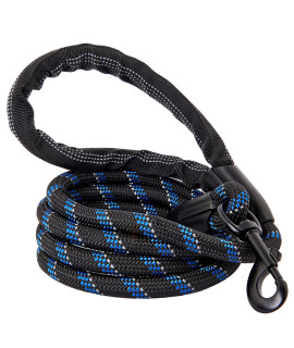 Dog Leash, Reflective Rope, Chew Resistant Paracord for Medium and Large Dogs, Durable Metal Clasp, Attaches to Pet Collar (5 Foot, Black & Blue)