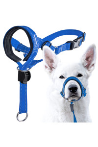 GoodBoy Dog Head Halter with Safety Strap - Stops Heavy Pulling On The Leash - Padded Headcollar for Small Medium and Large Dog Sizes - Head Collar Training Guide Included (Size 2, Blue Nylon)