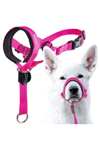 GoodBoy Dog Head Halter with Safety Strap - Stops Heavy Pulling On The Leash - Padded Headcollar for Small Medium and Large Dog Sizes - Head Collar Training Guide Included (Size 2, Pink Nylon)