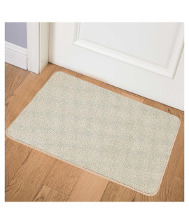 ITSOFT Dirt Trapper Indoor Door Mat & Entrance Rug for Wet Muddy Shoes and Pet Paws, Non-Slip Machine Washable, Shoe Scraper, Absorbent Welcome Dog Mat for Front Door, Entry Way (35x24, Dark Gray)
