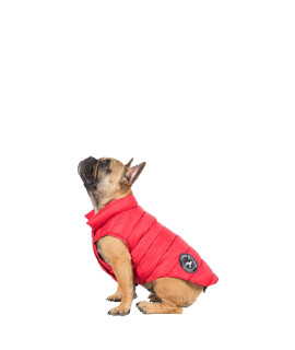DOgBY DOWN JAcKET - c: PX1 T: M