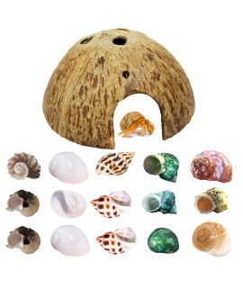 Hermit Crab Shell Growth Seashells 15 PCS (7 Types) Natural Coconut Shells Hut for Fish Tank Decor Hide Reptile Hideouts