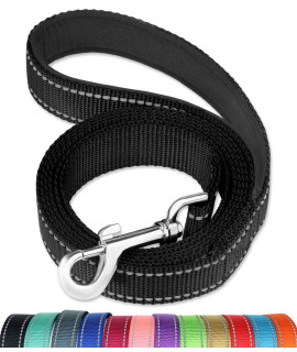 FunTags 6FT Reflective Dog Leash with Soft Padded Handle for Training,Walking Lead for Medium & Small Dogs,3/4 Inch Wide,Black