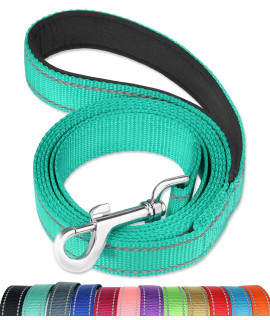 FunTags 6FT Reflective Dog Leash with Soft Padded Handle for Training,Walking Lead for Large, Medium,Turquoise