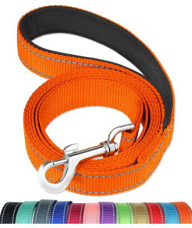 FunTags 6FT Reflective Dog Leash with Soft Padded Handle for Training,Walking Lead for Large & Medium Dog,1 Inch Wide,Orange