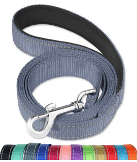 FunTags 6FT Reflective Dog Leash with Soft Padded Handle for Training,Walking Lead for Medium & Small Dogs,3/4 Inch Wide,Grey