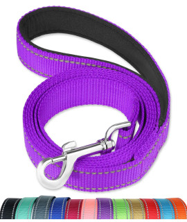 FunTags 6FT Reflective Dog Leash with Soft Padded Handle for Training,Walking Lead for Large & Medium Dog,1 Inch Wide,Purple
