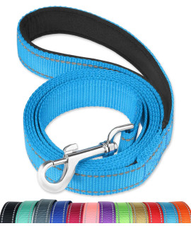 FunTags 6FT Reflective Dog Leash with Soft Padded Handle for Training,Walking Lead for Medium & Small Dogs,3/4 Inch Wide,SkyBlue