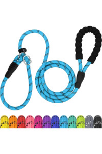 TagME 6 FT Slip Lead Dog Leash,12 colors,Reflective Strong Rope Slip Leash with Padded Handle,Durable No Pulling Pet Training Leash for Medium Dogs,Sky Blue