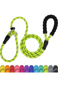 TagME 6 FT Slip Lead Dog Leash,12 colors,Reflective Strong Rope Slip Leash with Padded Handle,Durable No Pulling Pet Training Leash for Medium Dogs,green