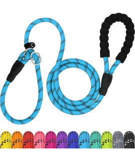 TagME 6 FT Slip Lead Dog Leash,12 colors,Reflective Strong Rope Slip Leash with Padded Handle,Durable No Pulling Pet Training Leash for Large Dogs,Sky Blue