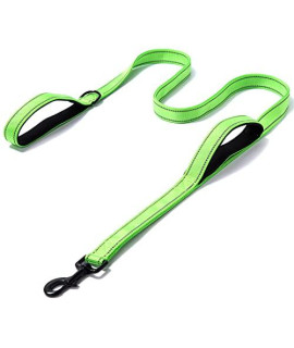 Heavy Duty Dog Leash - 2 Handles by Padded Traffic Handle for Extra Control, 6foot Long - Perfect for Medium to Large Dogs (6 ft, Bright Green)