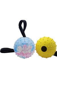 Vivifying Dog Ball on a Rope, 2 Pack Natural Interactive Rubber Ball for Fetch, catch, Throw and Tug of War
